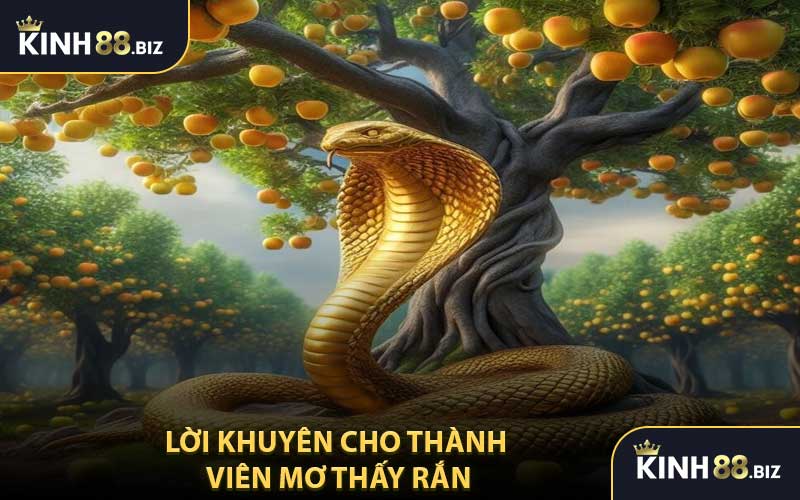 Lời Khuyên Cho Thành Viên Mơ Thấy Rắn